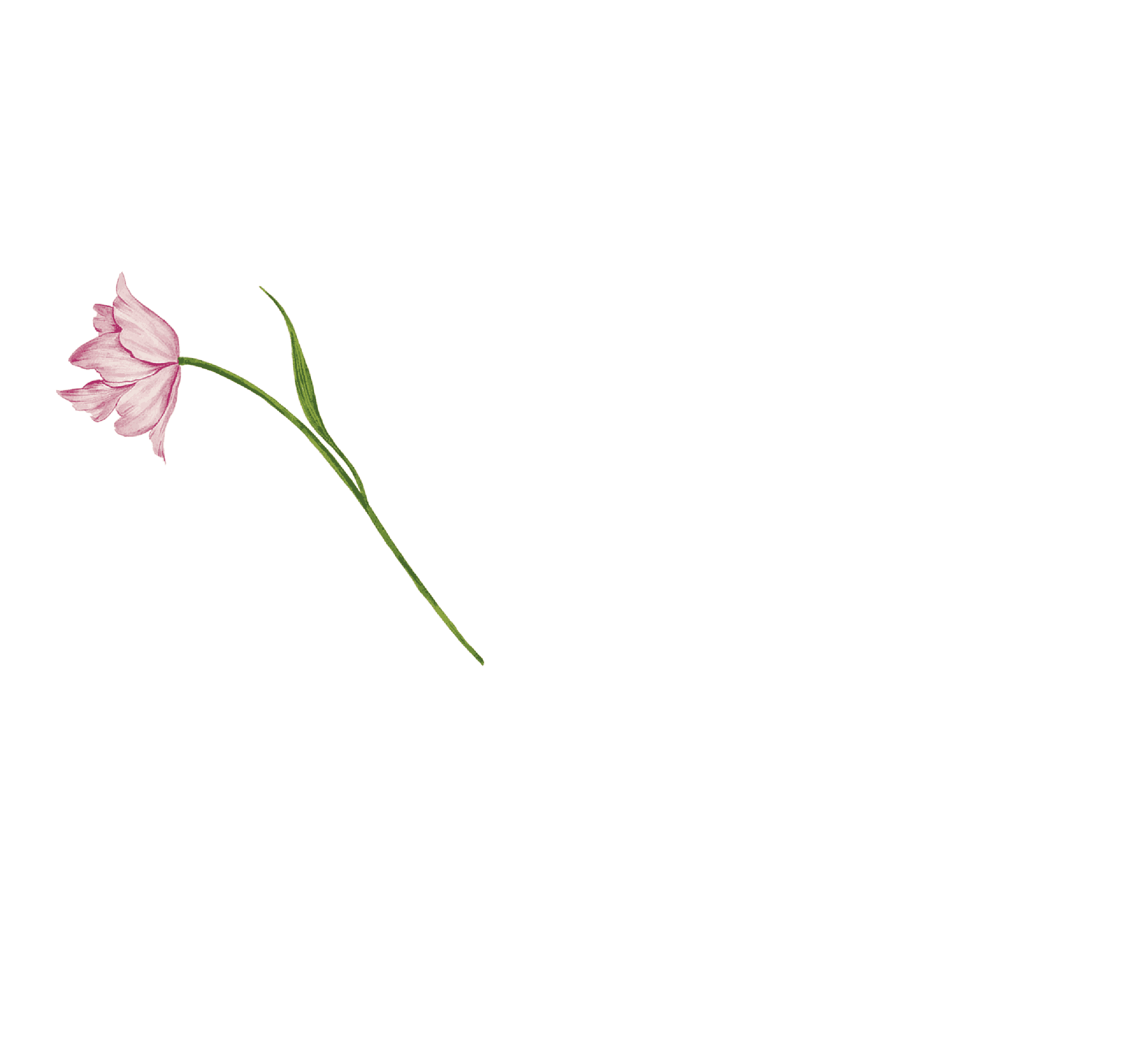 flower in bouquet